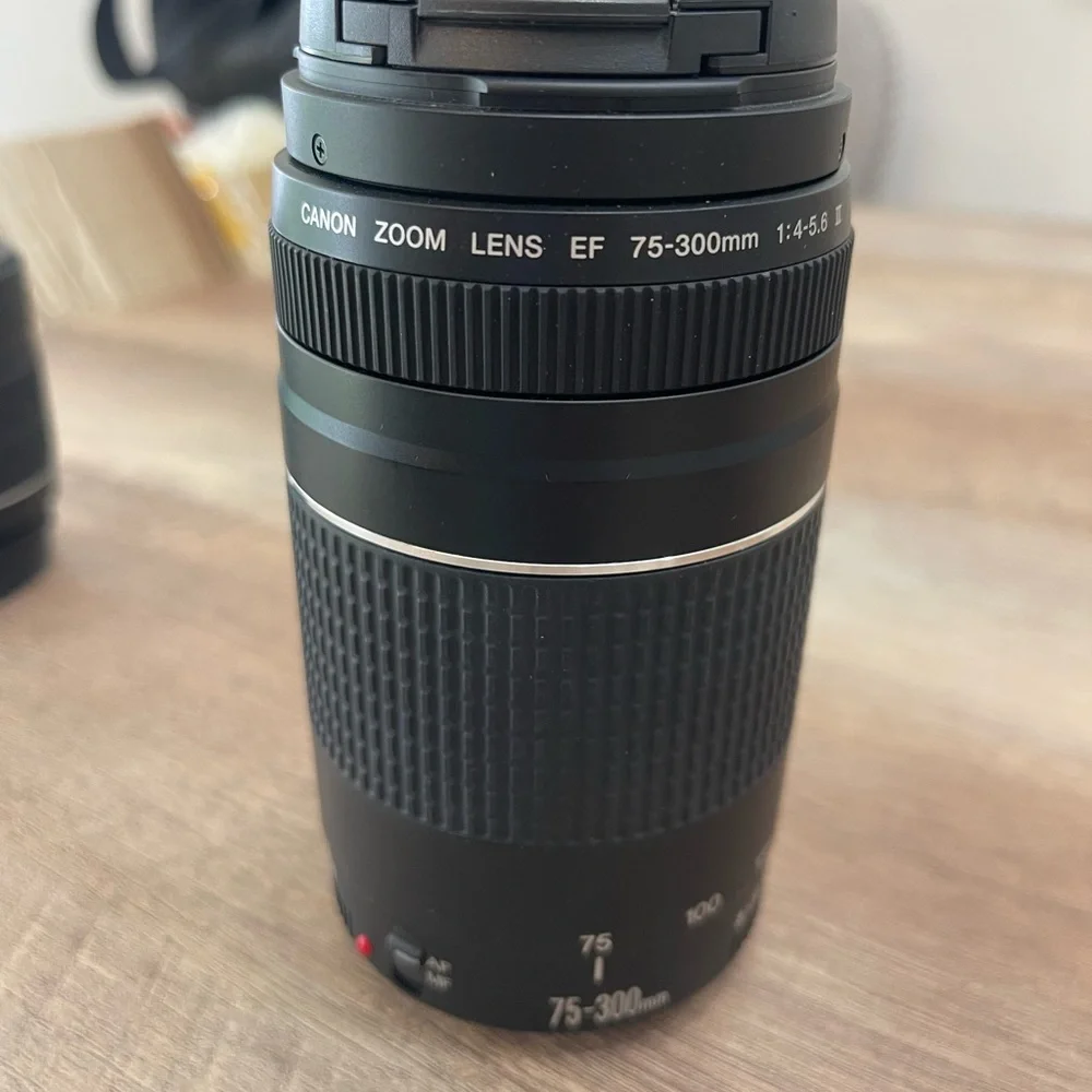 Canon 75-300mm lens